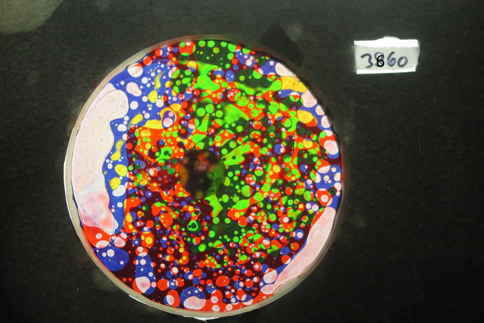 BV3660 bubble vision oil wheel